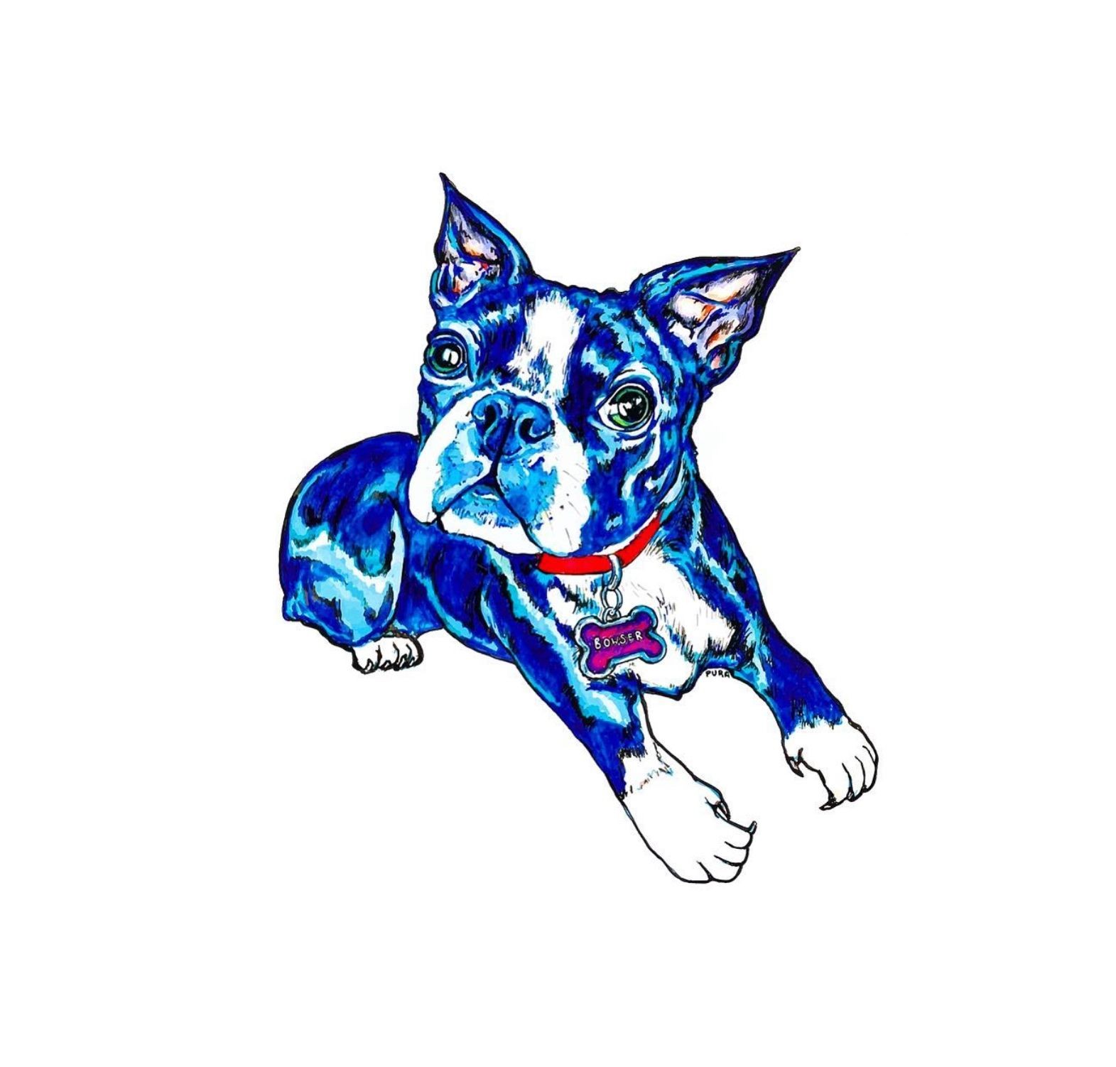 a painting of a boston terrier.